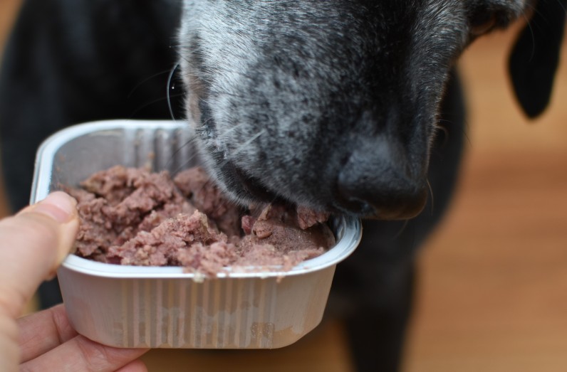 Види вологих кормів та їхні особливості - Фото 1